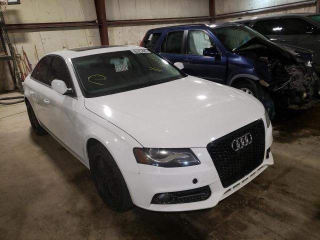 AUDI A4 PREMIUM 2010 with VIN WAUFFAFL7AN061024 - Photo from auction