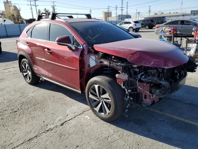 Photo 1 from auction – 2021 LEXUS NX 300 BAS with VIN JTJGARBZ2M5024849