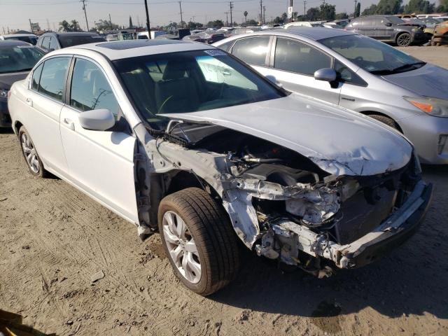 HONDA ACCORD EXL 2010 with VIN 1HGCP2F86AA075445 - Photo from auction