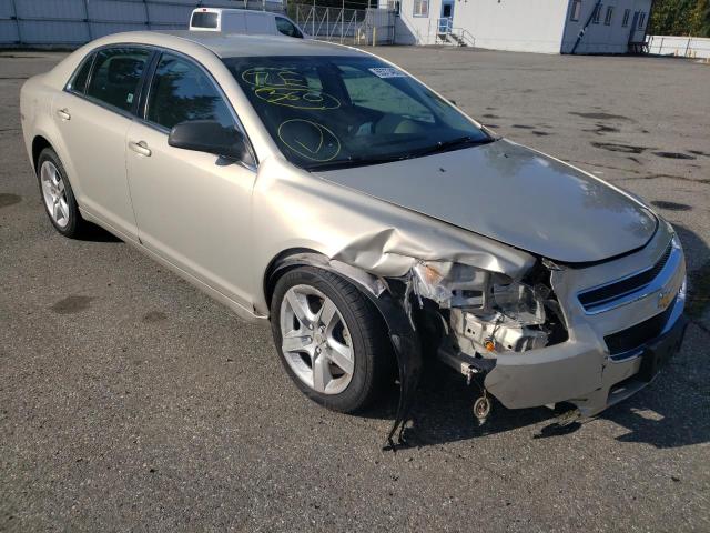 CHEVROLET MALIBU LS 2010 with VIN 1G1ZB5EB2AF262425 - Photo from auction