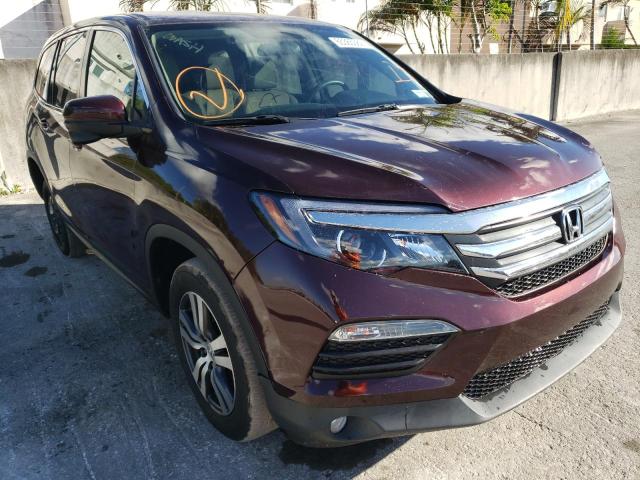 HONDA PILOT EX 2017 with VIN 5FNYF6H38HB067977 - Photo from auction