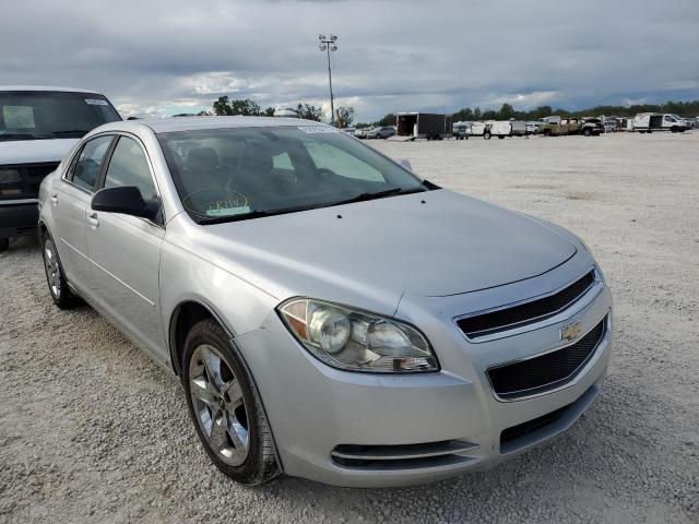 CHEVROLET MALIBU 1LT 2010 with VIN 1G1ZC5EB6AF130622 - Photo from auction