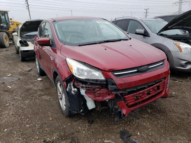 FORD ESCAPE SE 2013 with VIN 1FMCU0GX8DUD76265 - Photo from auction
