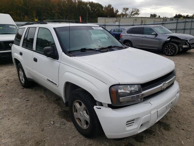 CHEVROLET TRAILBLAZE 2002 with VIN 1GNDS13SX22512751 - Photo from auction