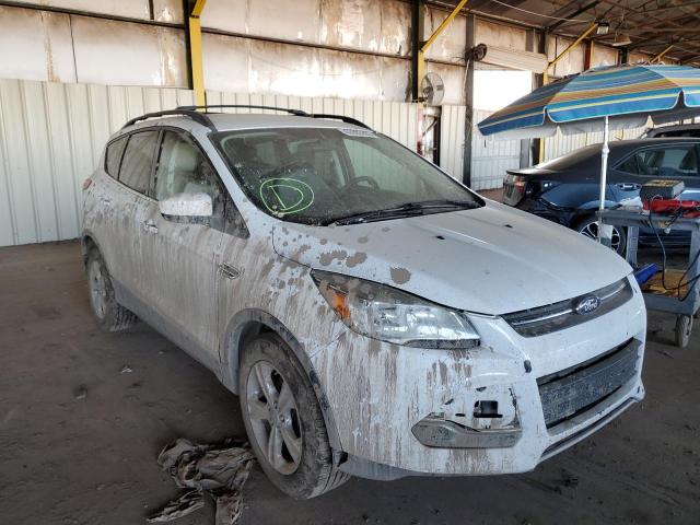 Photo 1 from auction – 2013 FORD ESCAPE SE with VIN 1FMCU0GX0DUB29435