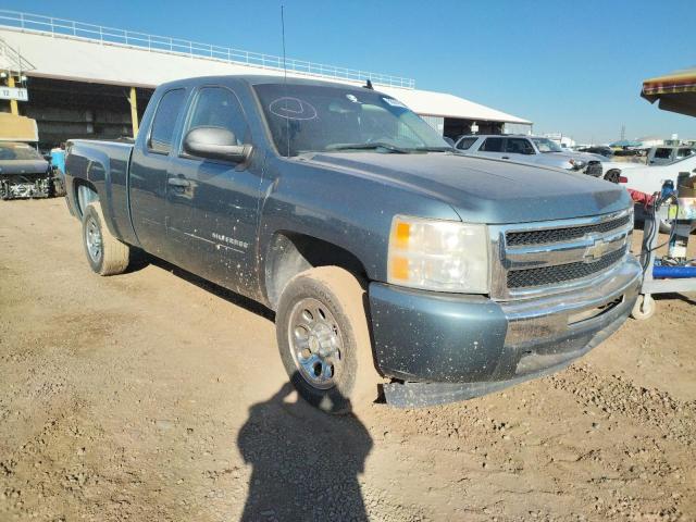CHEVROLET SILVERADO 2009 with VIN 1GCEC19C99Z295396 - Photo from auction