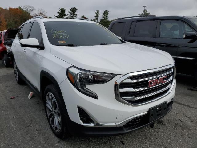 GMC TERRAIN SL 2020 with VIN 3GKALVEV4LL245151 - Photo from auction