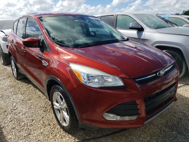 FORD ESCAPE SE 2016 with VIN 1FMCU0GX7GUA81131 - Photo from auction