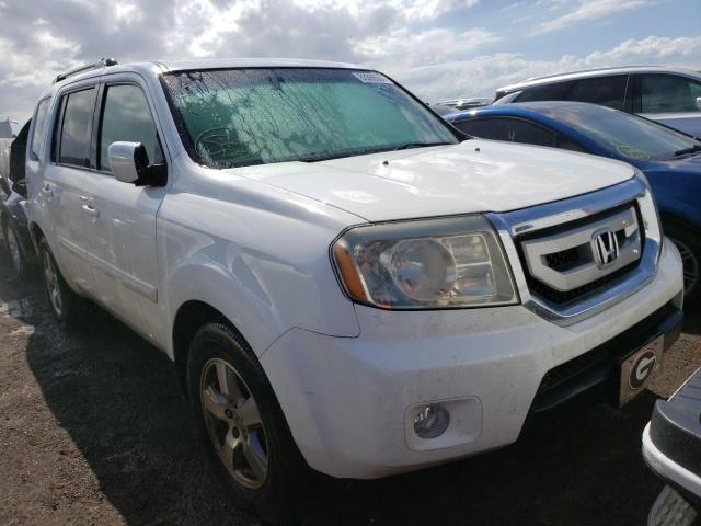 HONDA PILOT EXL 2009 with VIN 5FNYF386X9B021898 - Photo from auction