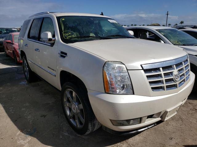 CADILLAC ESCALADE L 2009 with VIN 1GYFC23259R256891 - Photo from auction