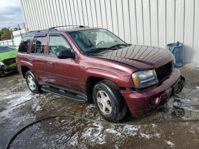 CHEVROLET TRAILBLAZE 2006 with VIN 1GNDS13S262223272 - Photo from auction