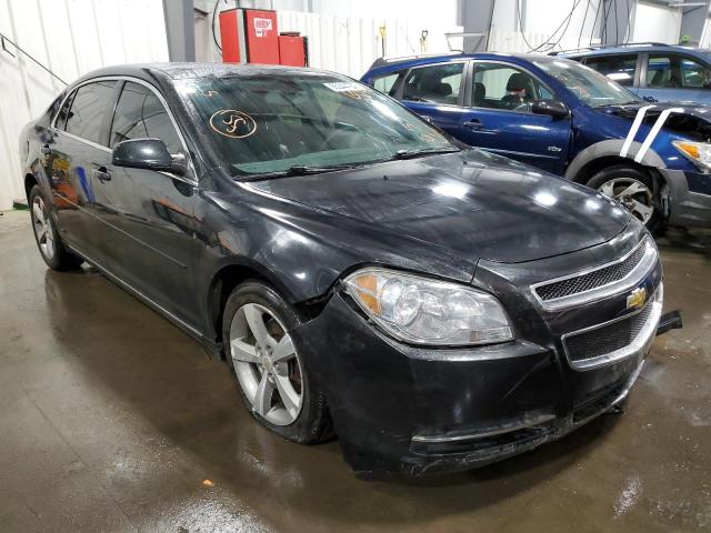 CHEVROLET MALIBU 1LT 2011 with VIN 1G1ZC5EU4BF299539 - Photo from auction