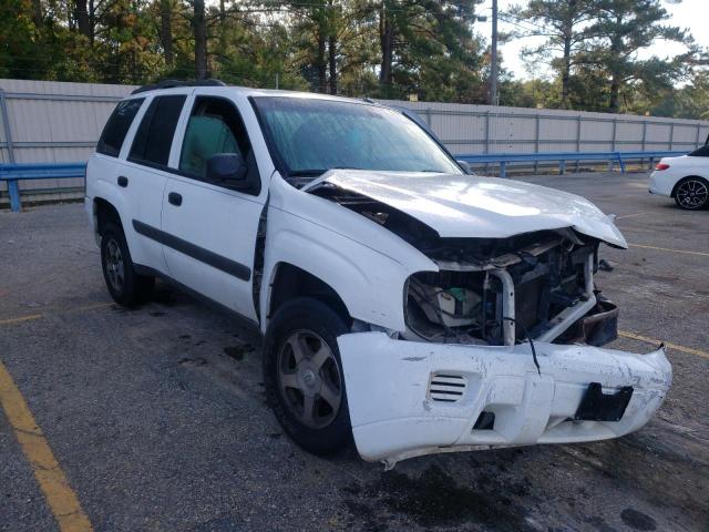 CHEVROLET TRAILBLAZE 2005 with VIN 1GNDS13SX52310397 - Photo from auction