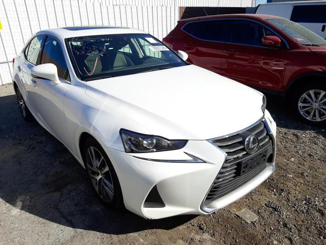 LEXUS IS 300 2019 with VIN JTHBA1D20K5088074 - Photo from auction