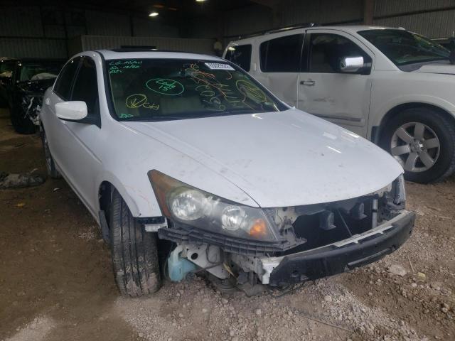 HONDA ACCORD EXL 2010 with VIN 1HGCP2F80AA147174 - Photo from auction