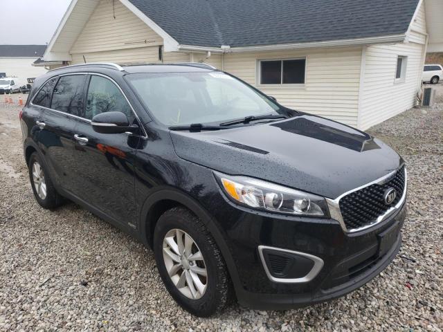 KIA SORENTO LX 2017 with VIN 5XYPGDA3XHG251978 - Photo from auction