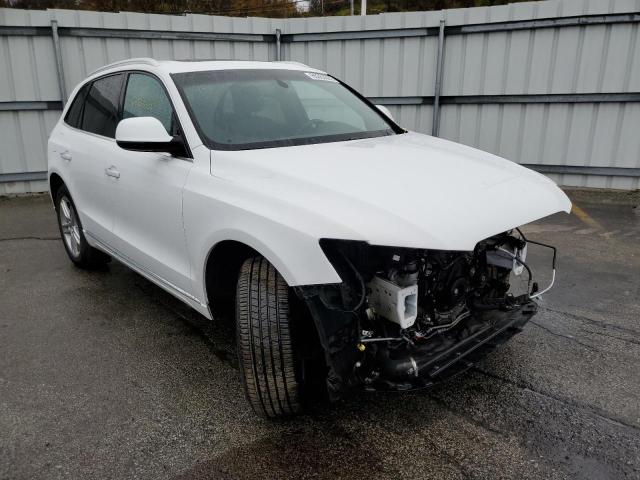 AUDI Q5 PREMIUM 2016 with VIN WA1L2AFP0GA092551 - Photo from auction