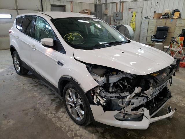 FORD ESCAPE SEL 2013 with VIN 1FMCU0HX4DUD71787 - Photo from auction