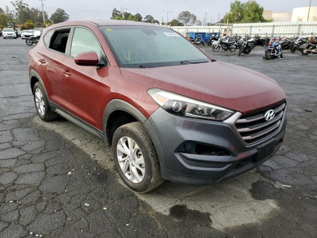 HYUNDAI TUCSON SE 2019 with VIN KM8J2CA42KU958064 - Photo from auction