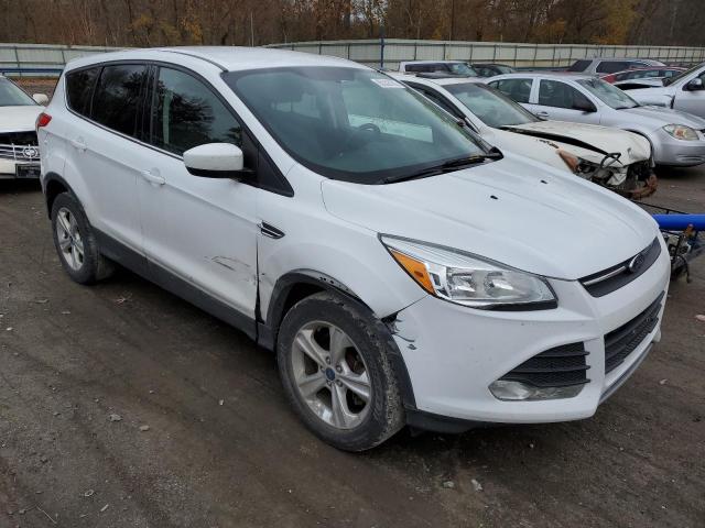FORD ESCAPE SE 2014 with VIN 1FMCU9GX6EUE54192 - Photo from auction