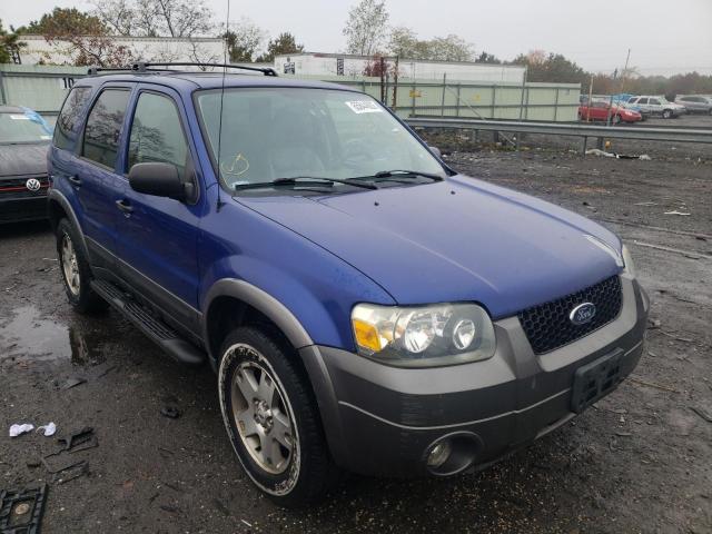 FORD ESCAPE XLT 2005 with VIN 1FMYU93125KA80280 - Photo from auction