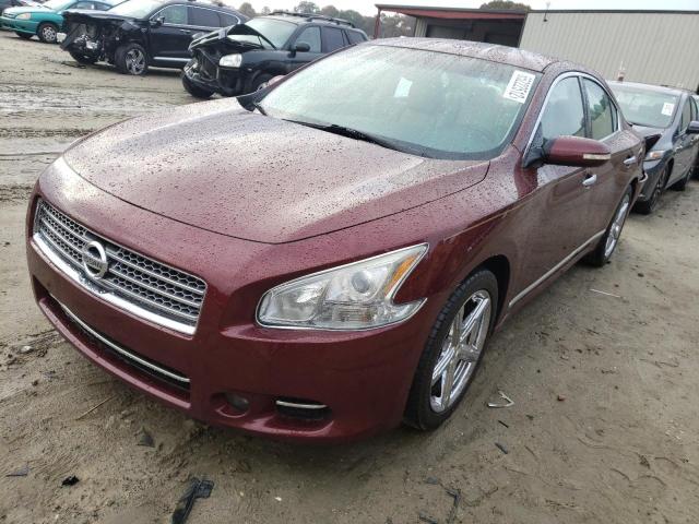 Photo 2 from auction – 2010 NISSAN MAXIMA S with VIN 1N4AA5AP4AC815446