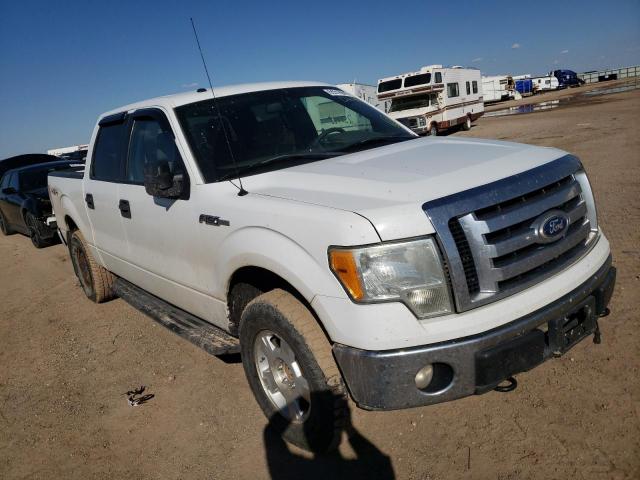 Photo 1 from auction – 2010 FORD F150 SUPER with VIN 1FTFW1EV6AFD20392