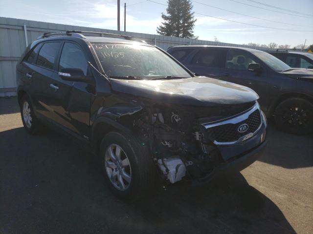 KIA SORENTO LX 2013 with VIN 5XYKTDA27DG402637 - Photo from auction