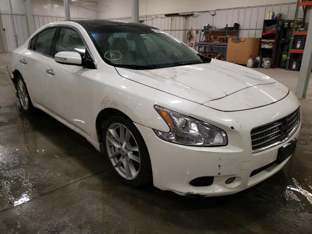 NISSAN MAXIMA S 2009 with VIN 1N4AA51E19C852156 - Photo from auction