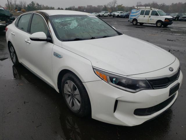 KIA OPTIMA HYB 2017 with VIN KNAGT4LE4H5012331 - Photo from auction