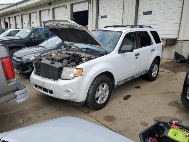 Photo 2 from auction – 2009 FORD ESCAPE XLT with VIN 1FMCU93GX9KB00005