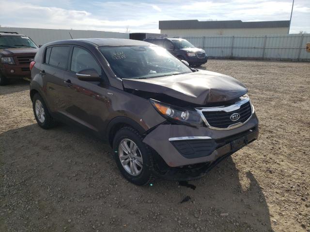 Photo 1 from auction – 2011 KIA SPORTAGE L with VIN KNDPBCA20B7112818