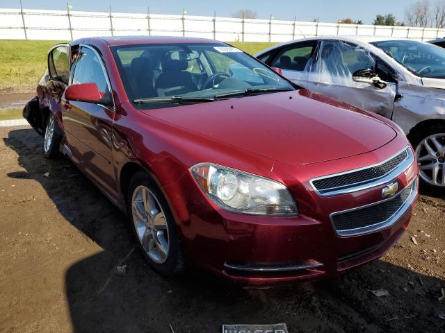 CHEVROLET MALIBU 1LT 2011 with VIN 1G1ZC5E14BF228184 - Photo from auction