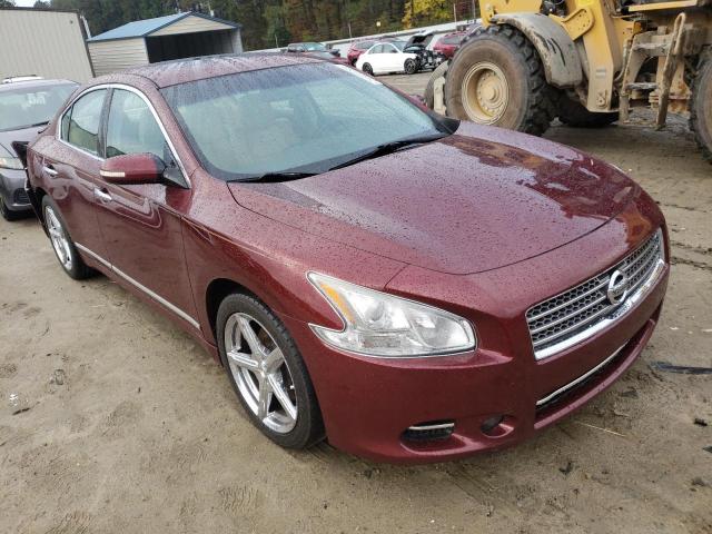 NISSAN MAXIMA S 2010 with VIN 1N4AA5AP4AC815446 - Photo from auction