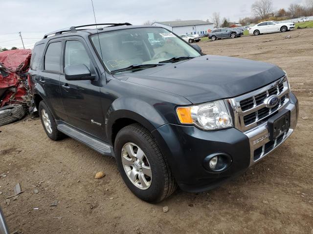 FORD ESCAPE HYB 2009 with VIN 1FMCU59359KB69441 - Photo from auction