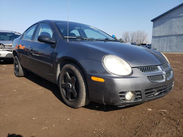 DODGE NEON SXT 2004 with VIN 1B3ES56C04D534324 - Photo from auction