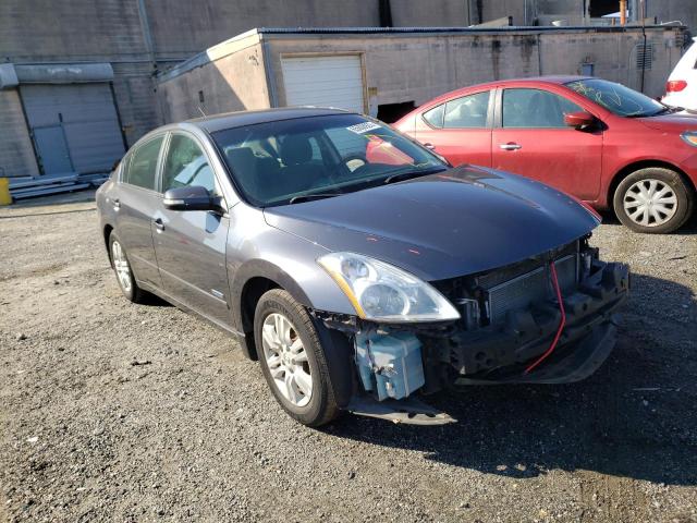 Photo 1 from auction – 2010 NISSAN ALTIMA HYB with VIN 1N4CL2AP4AC157757