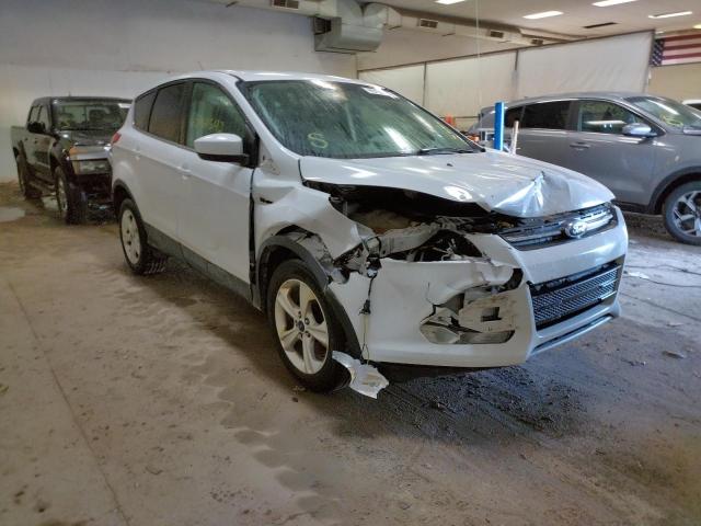 FORD ESCAPE SE 2014 with VIN 1FMCU9G91EUB97184 - Photo from auction