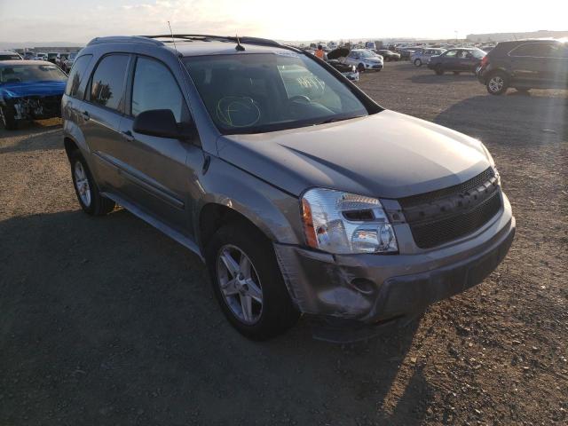 CHEVROLET EQUINOX LT 2005 with VIN 2CNDL63F656081737 - Photo from auction