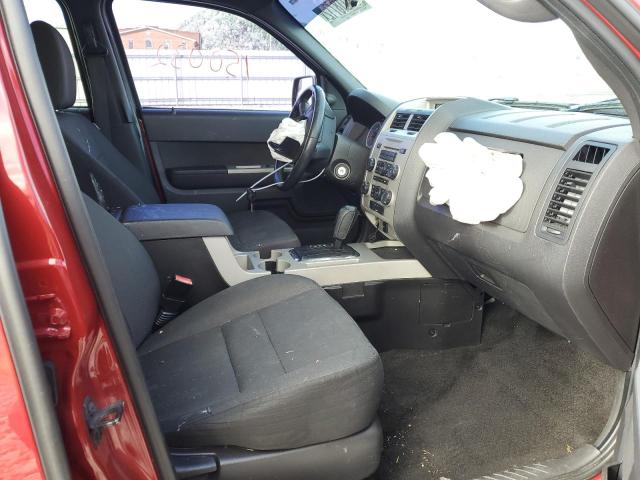 Photo 5 from auction – 2011 FORD ESCAPE XLT with VIN 1FMCU0DGXBKA08893