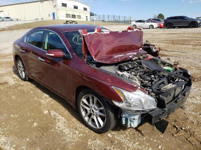 NISSAN MAXIMA S 2009 with VIN 1N4AA51E49C856752 - Photo from auction