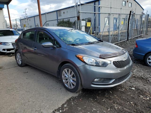 KIA FORTE EX 2014 with VIN KNAFX5A86E5164058 - Photo from auction