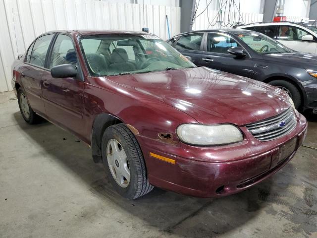 CHEVROLET MALIBU 2001 with VIN 1G1ND52J016275811 - Photo from auction