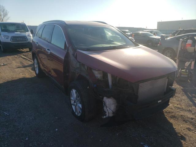 KIA SORENTO LX 2016 with VIN 5XYPGDA35GG043229 - Photo from auction