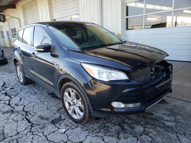 FORD ESCAPE SEL 2013 with VIN 1FMCU9H92DUB38531 - Photo from auction