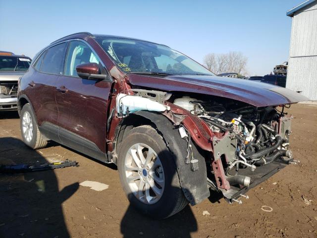 FORD ESCAPE SE 2021 with VIN 1FMCU9G68MUB09493 - Photo from auction