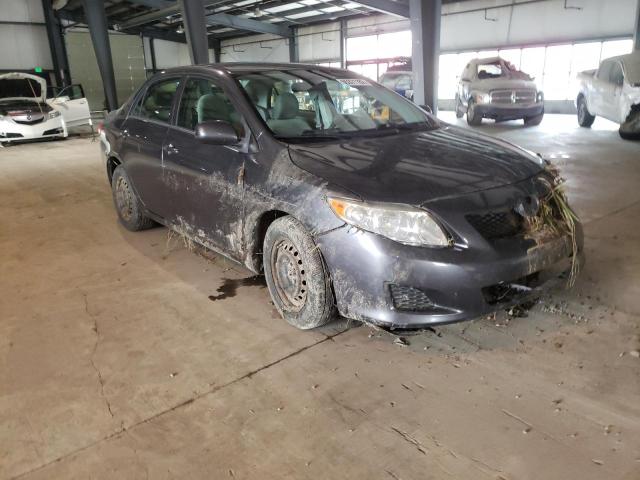 TOYOTA COROLLA BA 2009 with VIN JTDBL40E499073335 - Photo from auction