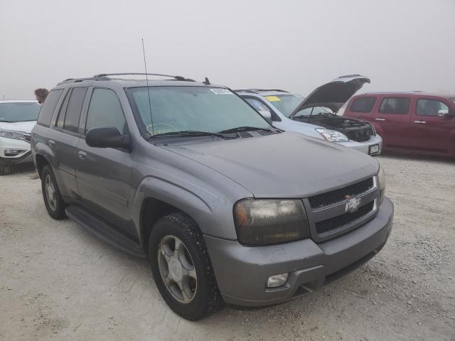 CHEVROLET TRAILBLAZE 2008 with VIN 1GNDT13S482162314 - Photo from auction