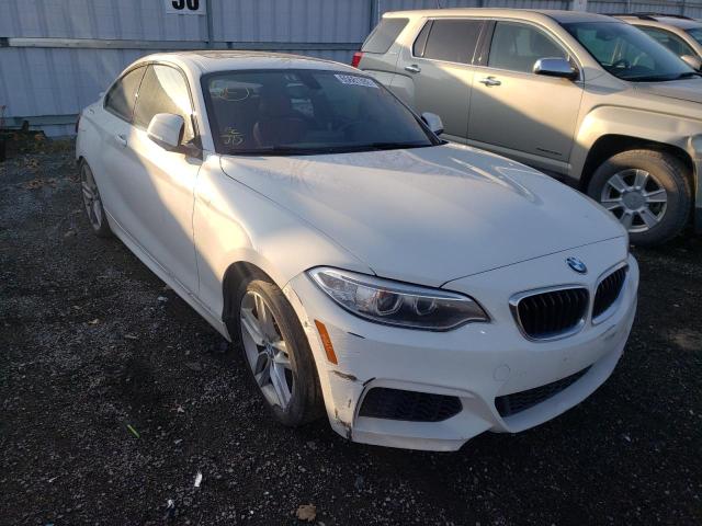 BMW 228 I 2014 with VIN WBA1F5C58EV255459 - Photo from auction