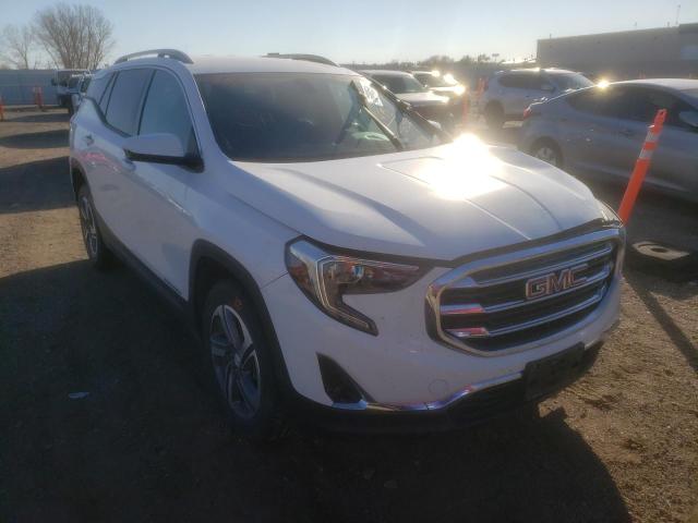 GMC TERRAIN SL 2019 with VIN 3GKALVEV5KL246520 - Photo from auction